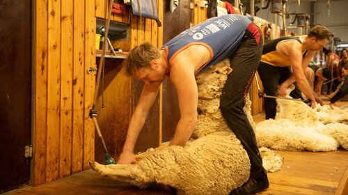 Back Roads Season 12 Episode 4 - Shearers, NSW