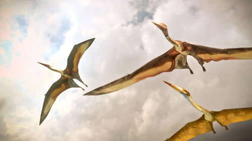 Planet Dinosaur Season 1 Episode 6 - The Great Survivors