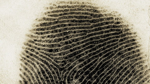 undefined Season 40 Episode 2 - Forensics on Trial