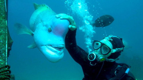 Journeys in Japan Season 12 Episode 12 - Go Deep! Underwater Paradise