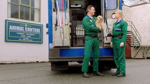 Pup Academy Season 2 Episode 5 - The King Sting