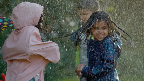 The Nature of Things Season 60 Episode 7 - Wild Canadian Weather - Rain