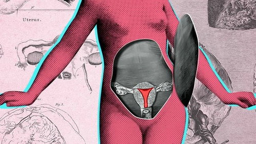 Are We Wasting Period Blood? still