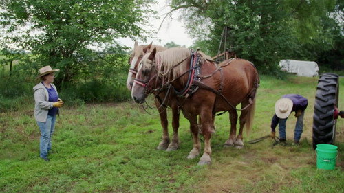 Heartland Docs, DVM Season 1 Episode 6 - Old Town Rodeo