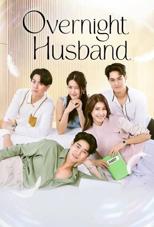 Overnight Husband poster