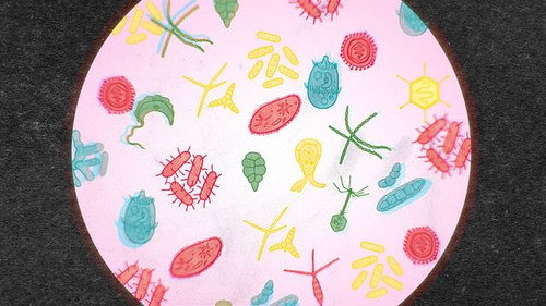 How Important is Our Microbiome? still