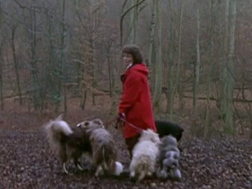 Murder in Suburbia Season 2 Episode 5 - Dogs