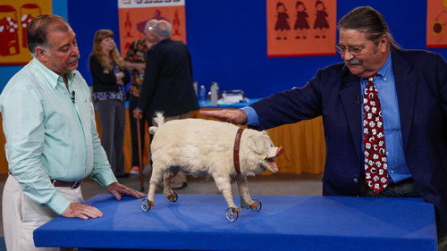 Antiques Roadshow Season 28 Episode 18 - Vintage Atlantic City, Hour 1