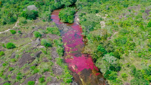 Saving paradise Season 1 Episode 1 - Caño Cristales — The Five-Colored River