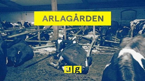 Uppdrag granskning Season 20 Episode 3 - Episode 3
