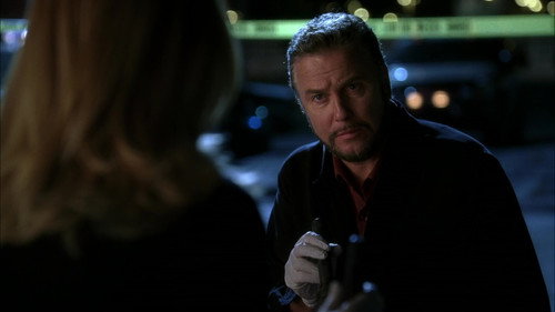 CSI: Crime Scene Investigation Season 5 Episode 24 - Grave Danger (1)