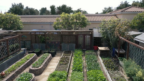 Farm Dreams Season 1 Episode 4 - Backyard Crop