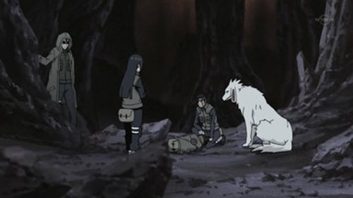 Naruto Shippūden Season 13 Episode 279 - White Zetsu's Trap