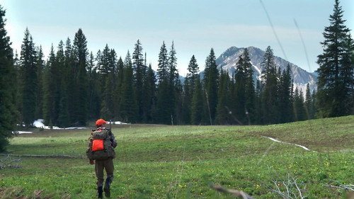 MeatEater Season 6 Episode 14 - Mountain Memories: Montana Bear