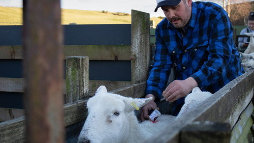This Farming Life Season 7 Episode 11 - Handing Over the Reins