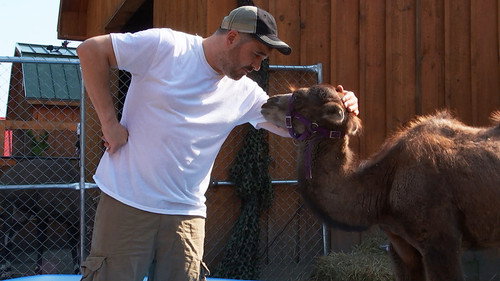 Impractical Jokers Season 7 Episode 20 - Hump Day