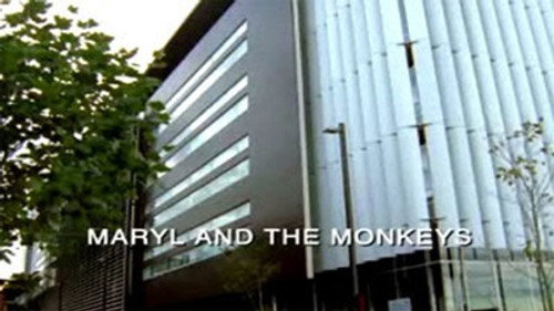 Power Rangers Season 16 Episode 29 - Maryl and the Monkeys