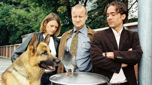 Inspector Rex Season 9 Episode 3 - Ettrich's Pigeons