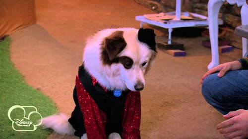 Dog with a Blog Season 1 Episode 21 - My Parents Posted What?!
