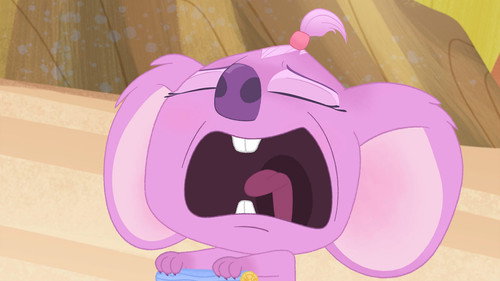 Baby Koala’s Terrible Tantrums still