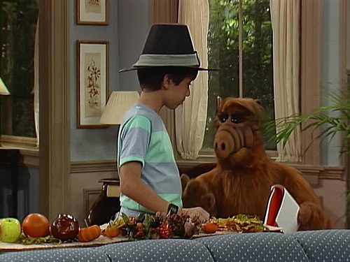 ALF Season 3 Episode 7 - Turkey in the Straw (1)