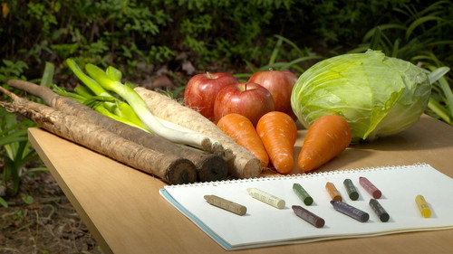 Zero Waste Life Season 1 Episode 14 - A Harvest of Colors