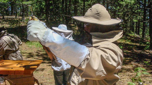 How Do They Do It? Season 11 Episode 10 - Beekeeping. Trikes. Body Armour