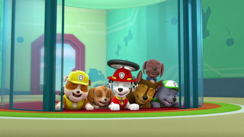 PAW Patrol Season 3 Episode 46 - Pups Get Stuck