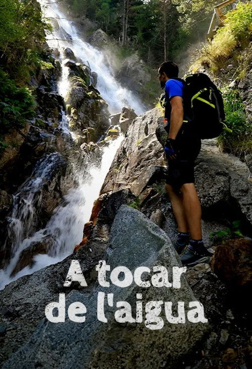 A tocar de l'aigua poster