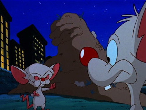 Pinky and the Brain Season 3 Episode 7 - Say What, Earth