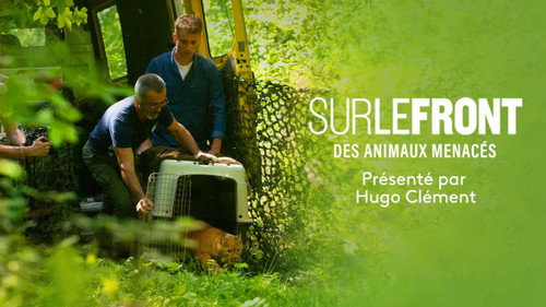 Sur le front Season 1 Episode 3 - Animals in danger