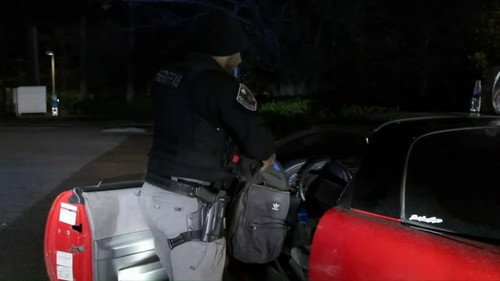 Patrol Car Crash still