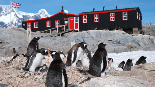 Nature Season 33 Episode 9 - Penguin Post Office