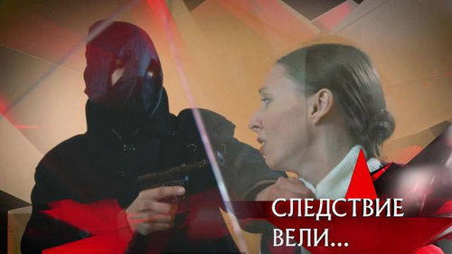 The investigation was conducted Season 17 Episode 8 - Episode 8