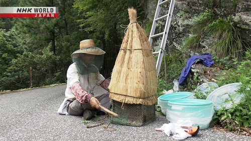 NHK WORLD PRIME Season 7 Episode 13 - Return to an Abandoned Village: 50 Years in Tsubayama