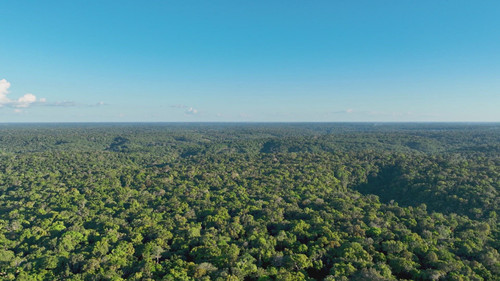 Ancient Aliens Season 22 Episode 13 - Secrets of the Amazon