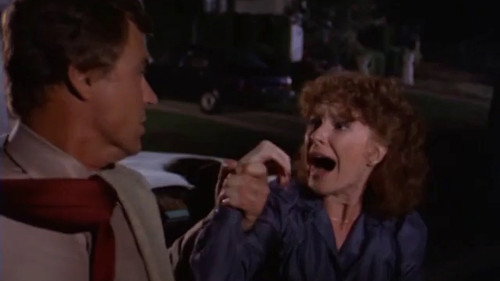 Lou Grant Season 1 Episode 11 - Housewarming