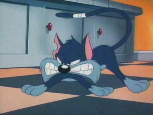 Tiny Toon Adventures Season 1 Episode 14 - Furrball Follies