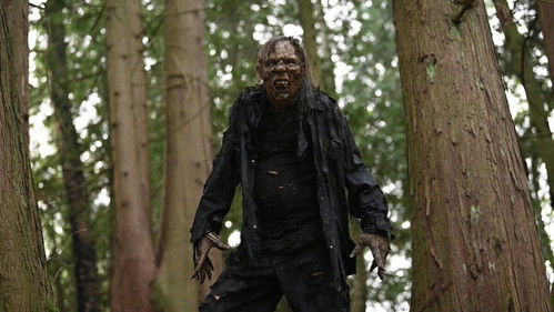 undefined Season 1 Episode 4 - Forest of the Damned