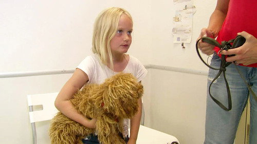 Mitt liv som valp Season 1 Episode 4 - Episode 4