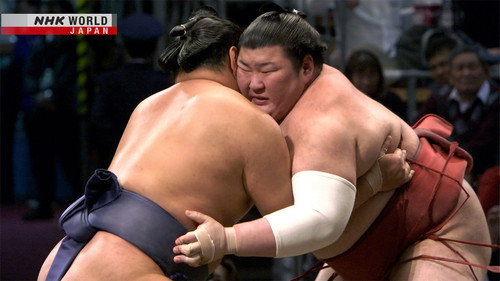 GRAND SUMO Highlights Season 20 Episode 12 - Day 12