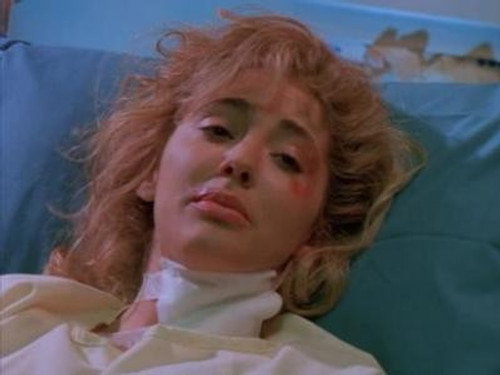 Silk Stalkings Season 2 Episode 2 - Goodtime Charlie