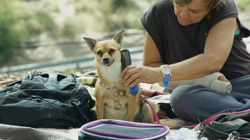 The Street Vet Season 1 Episode 8 - Shay & Shilo