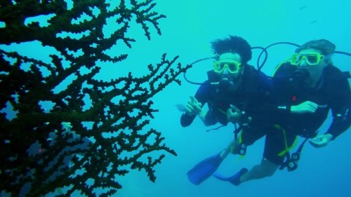 Below Deck Down Under Season 1 Episode 8 - Prom Night