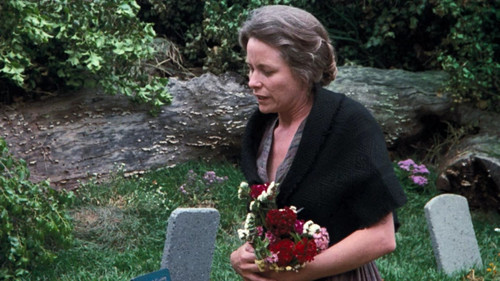 The Waltons Season 9 Episode 3 - The Pledge