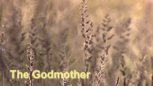 Meerkat Manor Season 2 Episode 12 - The Godmother
