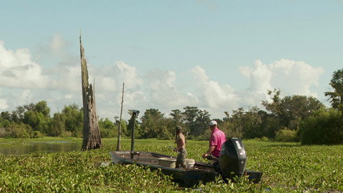 Swamp People Season 14 Episode 15 - Big Gators or Bust