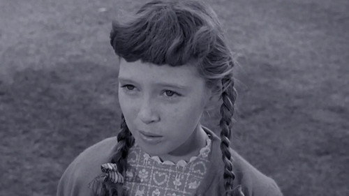 Beaver and Violet still