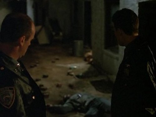 Law & Order Season 1 Episode 8 - Poison Ivy