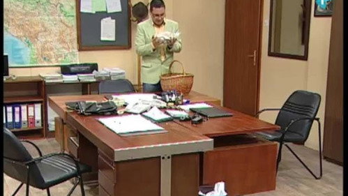 Government Job Season 3 Episode 5 - 406 Jadranko